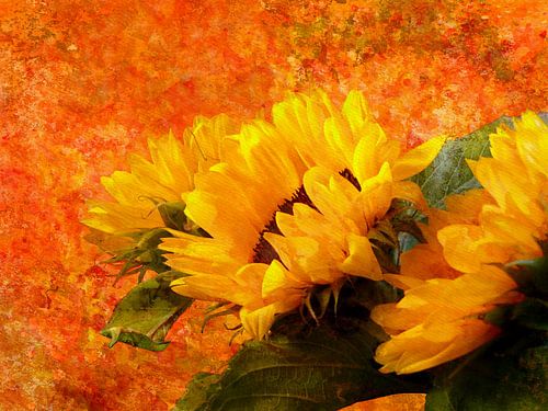 Sunflower 2020 by Andreas Wemmje