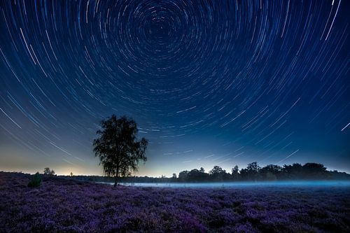 Traces d'étoiles au-dessus de la lande violette