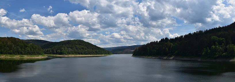 Panorama uitzicht over water en bos in Duitsland van Cor Brugman