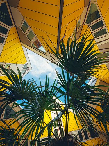 Les maisons en cube (4:3)