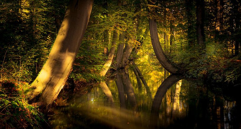 Oelerbeek Hof van Twente par Martijn van Steenbergen