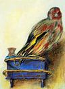 Der Putterer. Vogel (7) von Ineke de Rijk Miniaturansicht