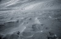 Ski mountaineers Blinnenhorn Swiss Alps by Menno Boermans thumbnail