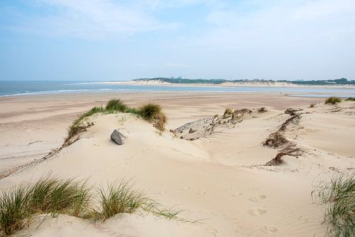 Strand bei Het Zwin in Zeeuws Vlaanderen