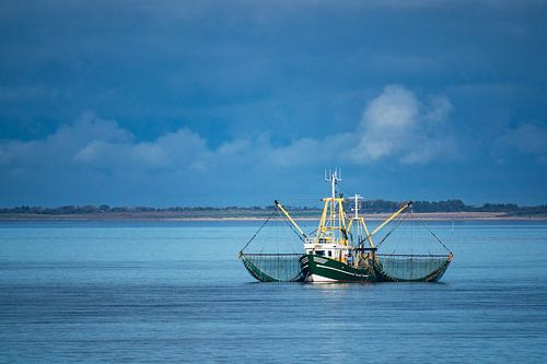 Krabbenkutter auf der Nordsee vor der Insel Föhr
