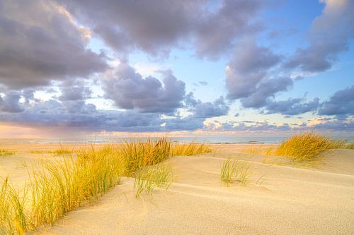 Coucher de soleil sur la plage de Texel avec des dunes de sable au premier plan