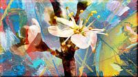 Knospen