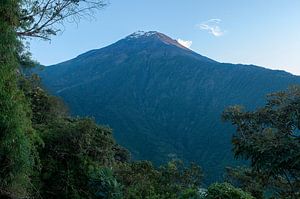 Ecuador: La Casa del Arbol (Baños)