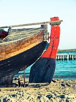 Safran de bateau de pêche