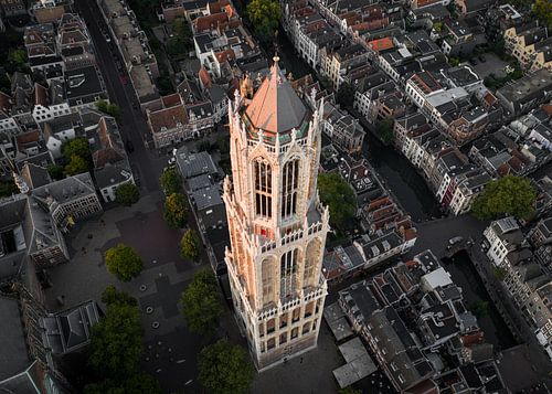 De Domtoren van Utrecht in het gouden ochtendlicht van Bas van Setten