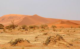Zandduinen van de Sossusvlei in Namibië/ Sand Dunes at Sossusvlei in Namibië van Marijke van Noort