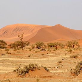 Zandduinen van de Sossusvlei in Namibië/ Sand Dunes at Sossusvlei in Namibië sur Marijke van Noort