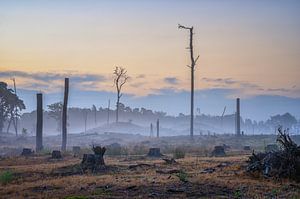 Desolaat landschap van Leon Okkenburg