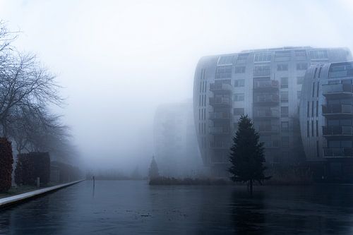 Das Schlossviertel im Nebel