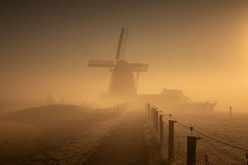 Silence matinal doré au moulin Koningslaagte dans un paysage sur KB Design & Photography (Karen Brouwer)