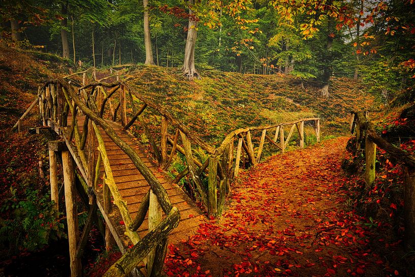 Autumn split on Elswout by peterheinspictures