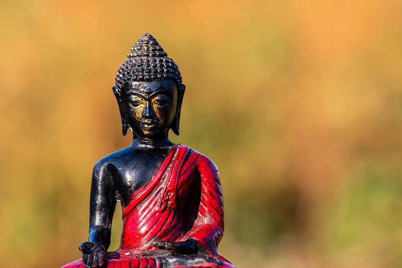 In Balance von Thomas Riess