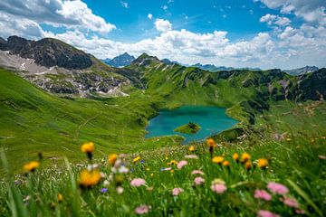 Flowery view of the Schrecksee lake and the Hochvogel mountain by Leo Schindzielorz