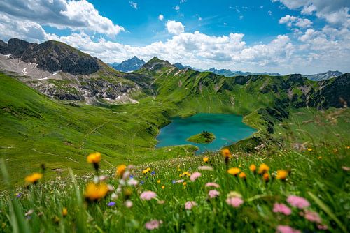 Bloemrijk uitzicht op de Schrecksee en de Hochvogelberg