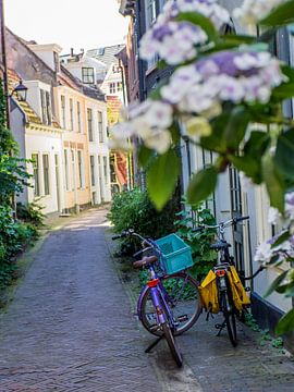2 Radfahren in der Stadt Haarlem