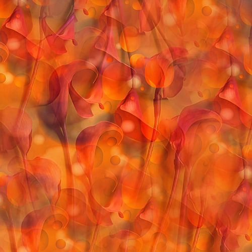 Arum abstrait . Papier peint .