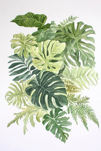 Tropical leaves in watercolour style
