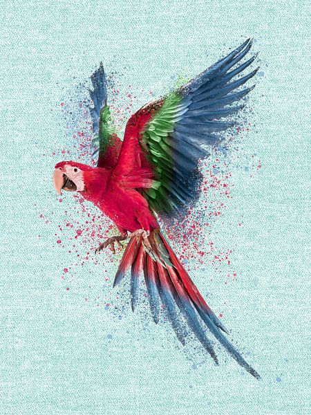 Macaw parrot watercolor painting on aqua by Mad Dog Art