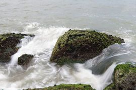 Wild Water in slowmotion