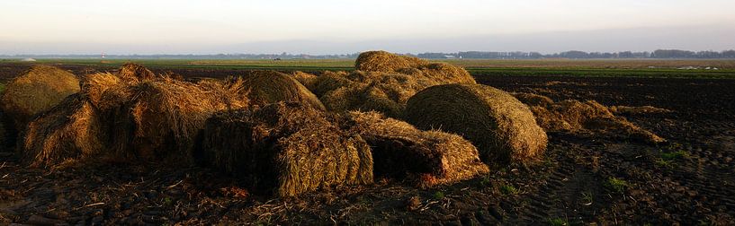 Strobalen von Kees Rustenhoven