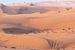 Dwalende Kameel in de Woestijn van The Book of Wandering