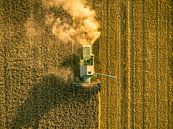 Combine oogst tarwe tijdens de zomer van Sjoerd van der Wal Fotografie thumbnail