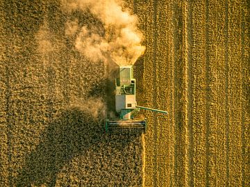 Combine oogst tarwe tijdens de zomer van Sjoerd van der Wal