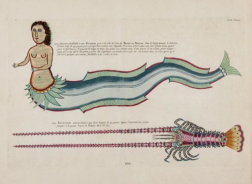 Rivierkreeften en krabben, Louis Renard, 1754 - Collectie Teylers Museum