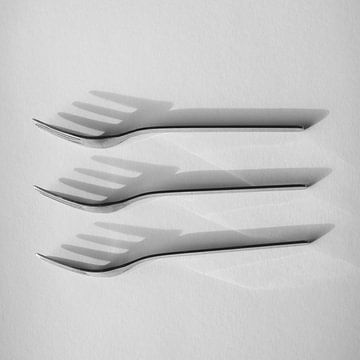 Stillleben Gabeln von Petra Terpstra