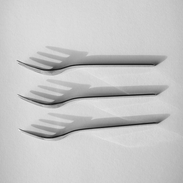 Gabeln von Petra Terpstra