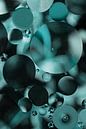 Abstract: Turquoise circles by Marjolijn van den Berg thumbnail