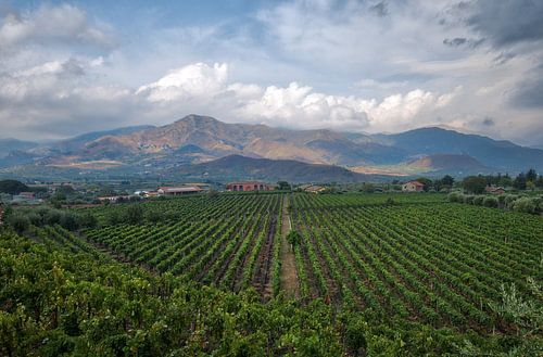 Winery at the foot of Mount Etna