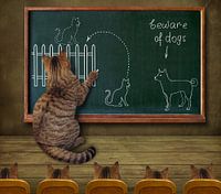 Kattenleraar en zijn leerlingen... :)