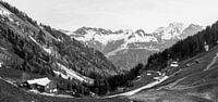 Berglandschap Oostenrijk