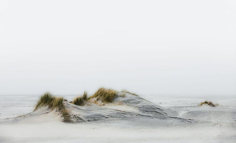 Verlassener Strand von Nanouk el Gamal - Wijchers (Photonook)