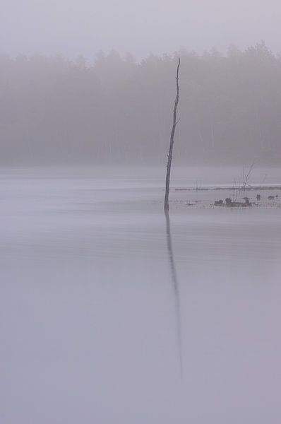 Dwingelderveld - Drenthe (Netherlands) by Marcel Kerdijk