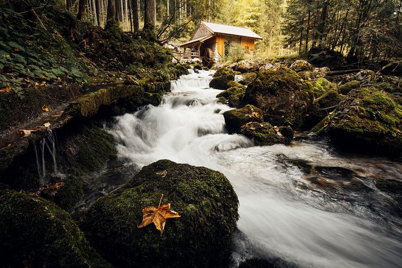 Gollinger Wassermühle par Alena Holtz