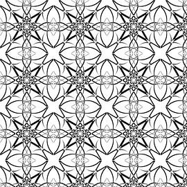 solonero.5 von rita sacco