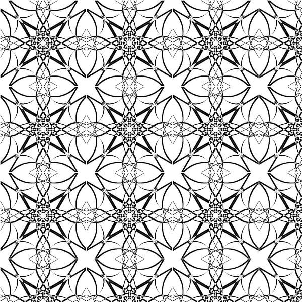 solonero.5 by rita sacco