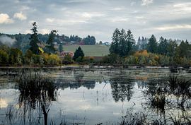 Mistige ochtend in Oregon von Derrick Kazemier