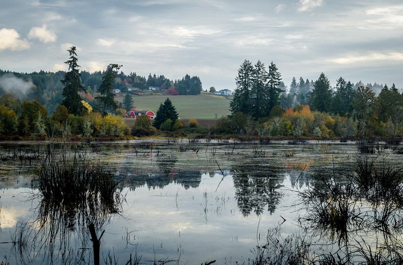 Mistige ochtend in Oregon par Derrick Kazemier