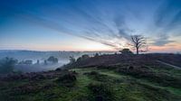Magic Landscape (Posbank Rheden) by Frank Laurens thumbnail