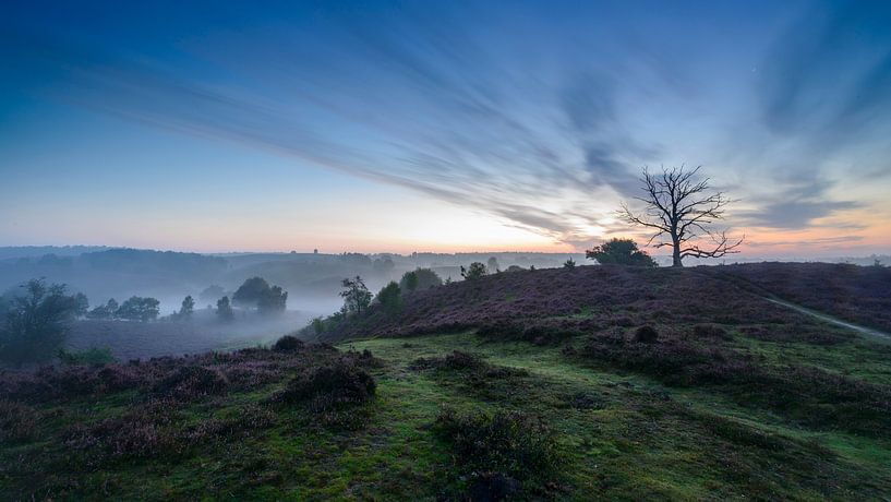 Magic Landscape (Posbank Rheden) by Frank Laurens