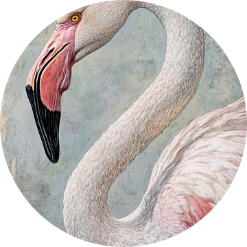 Flamingo in Profiel Subtiele Zachtroze Elegantie