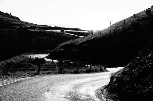 New Zealand - Otago Penisula